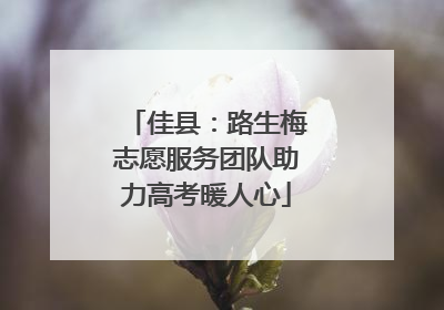 佳县：路生梅志愿服务团队助力高考暖人心